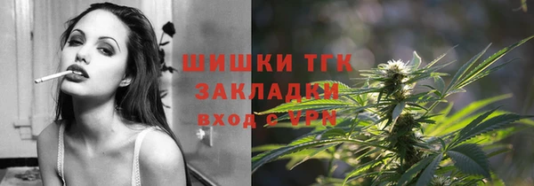 соль ск Алексин
