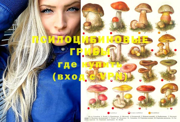крисы Воткинск