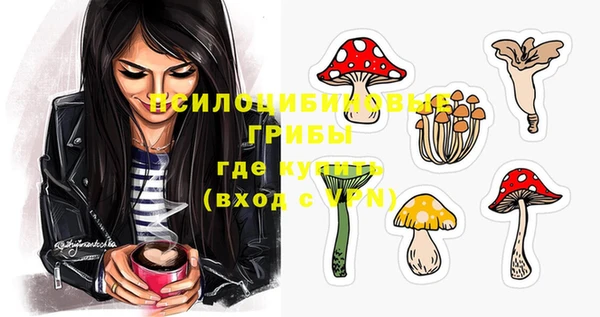 не бодяженный Алзамай